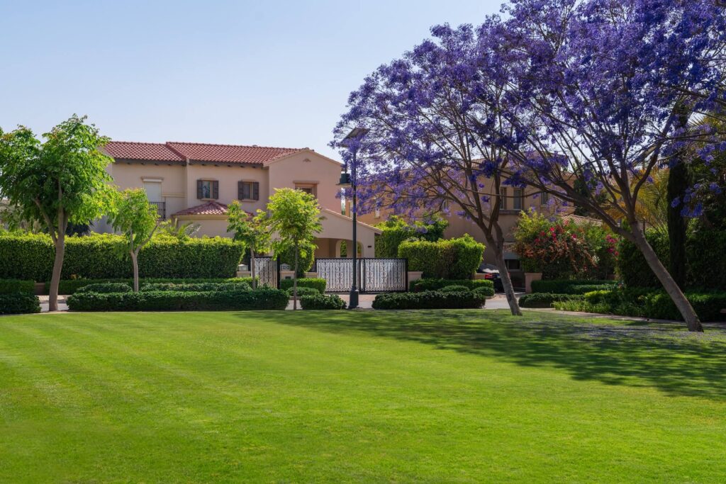 Emaar Misr - Communities - Mivida New Cairo - 18